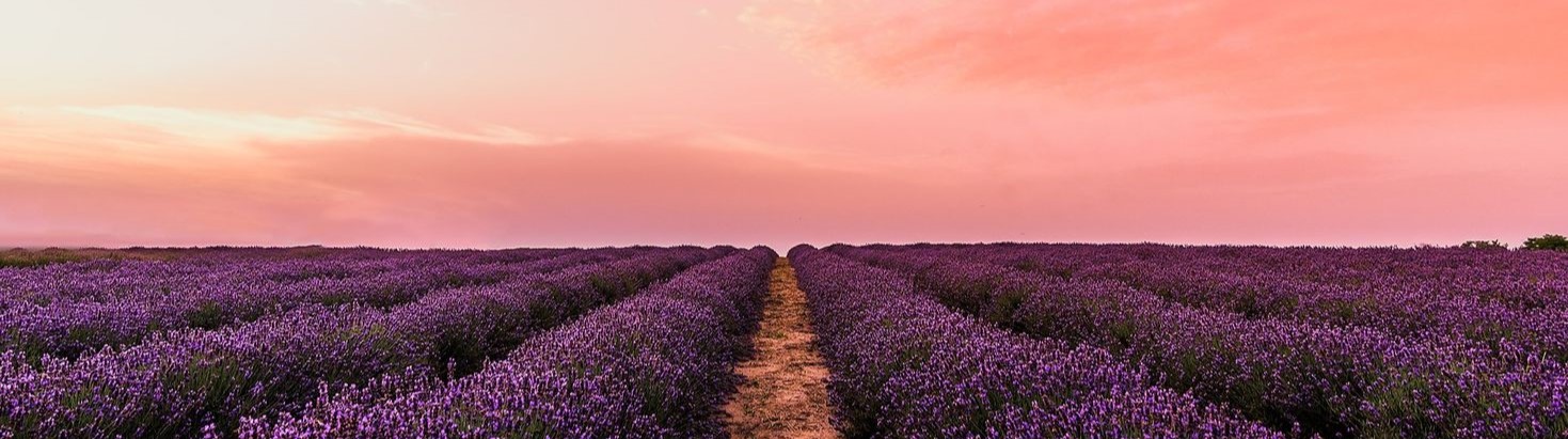 Miina Savolainen homeopaatti